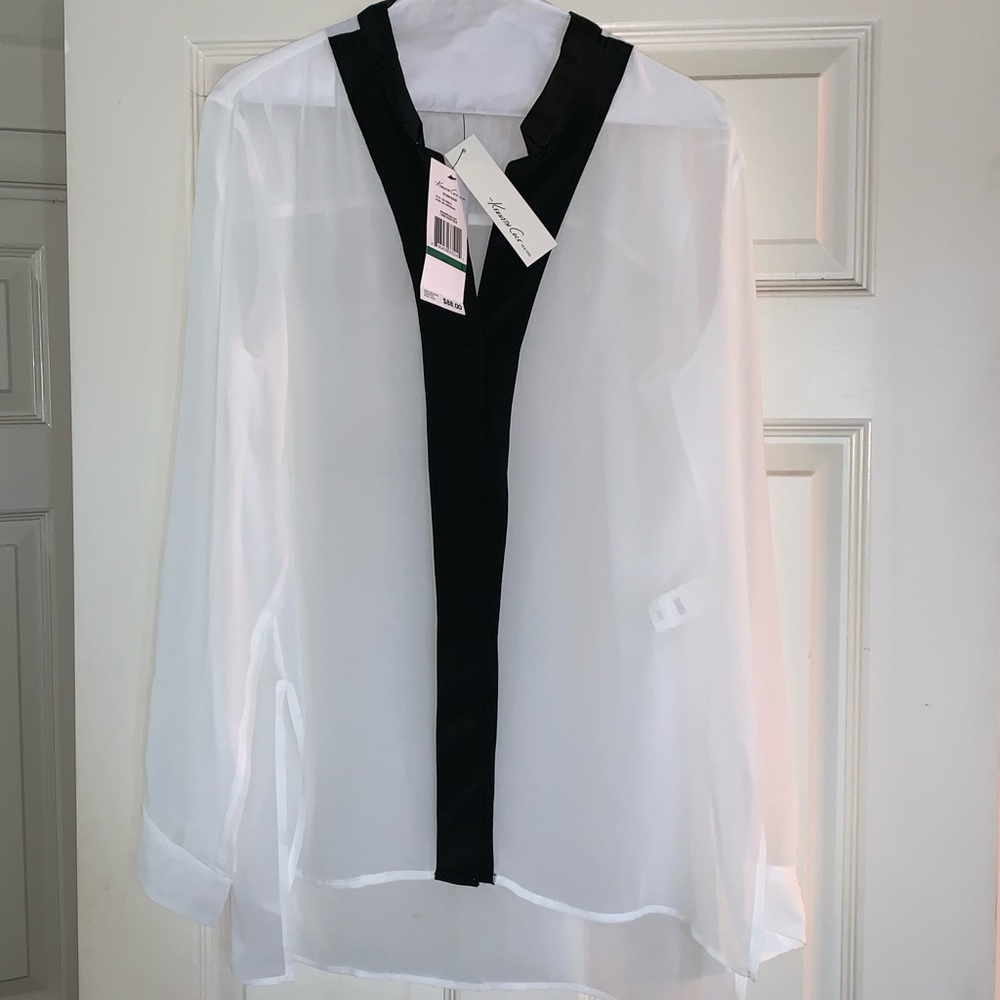 Sheer Button Up Blouse
